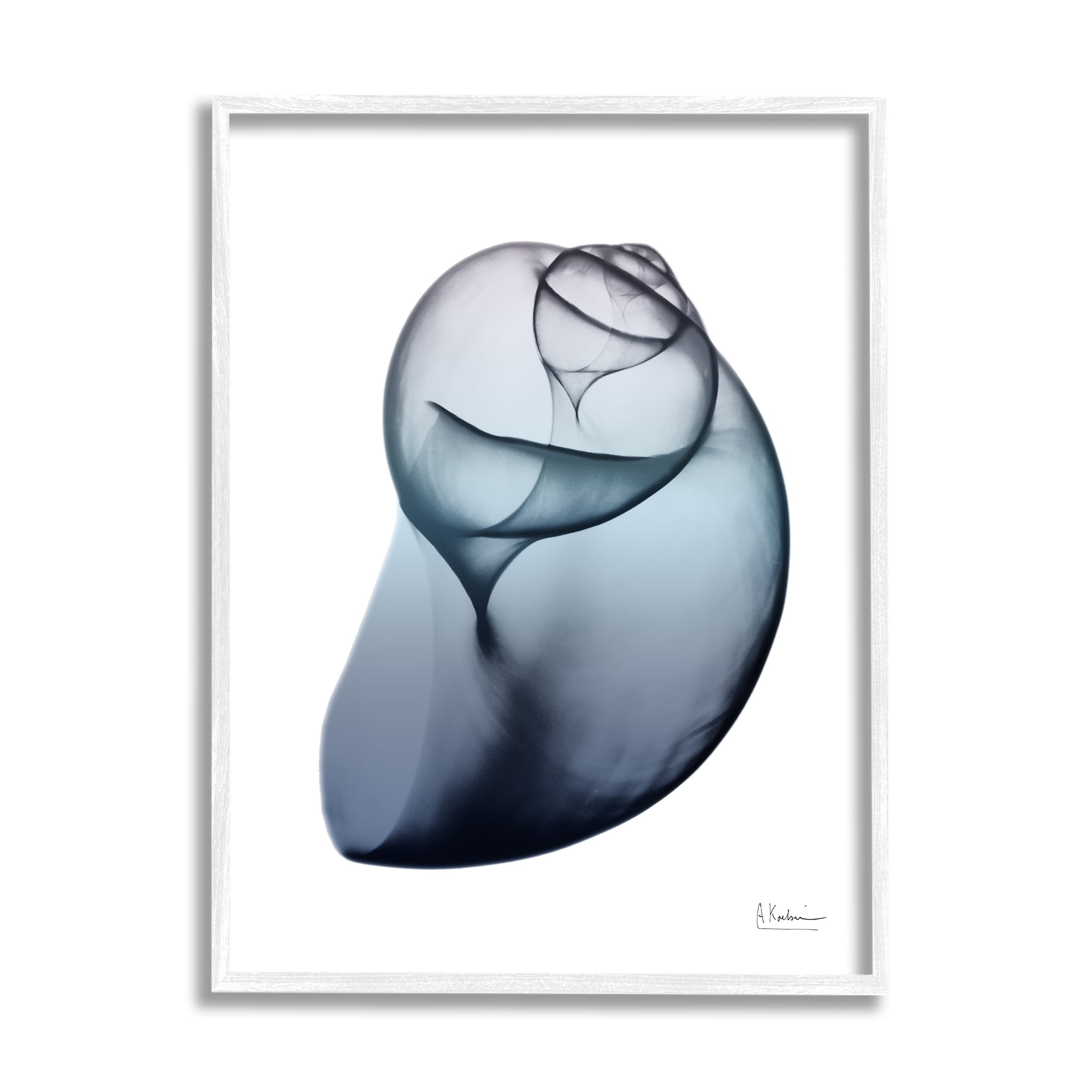 Stupell Industries Contemporary Snail Shell Abstract Photography White Framed Art Print Wall Art, 16 x 20