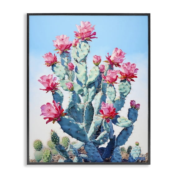 Stupell Industries Contemporary Southwestern Cactus Flowers Black Framed Giclee Art, 11 x 14, by RB