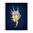 thumbnail image 1 of Stupell Industries Contemporary Spider Conch on Blue White Framed Giclee Art, 11 x 14, by Graffitee Studios, 1 of 8