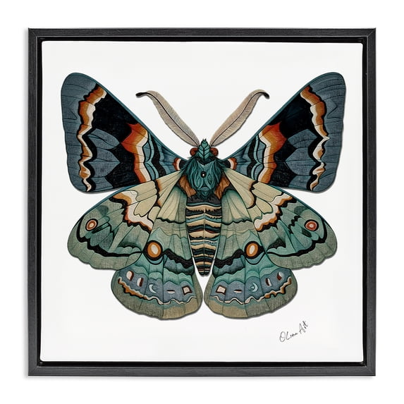 Stupell Industries Contemporary Symbol Of Change Moth Black Floating Frame Canvas Art, 18 x 18, by Lena Owens