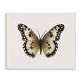 thumbnail image 1 of Stupell Industries Contemporary Tan Symmetrical Butterfly Canvas Art, 30 x 24, by Elizabeth Medley, 1 of 8