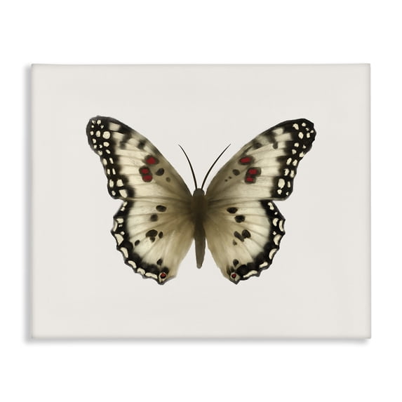 Stupell Industries Contemporary Tan Symmetrical Butterfly Canvas Art, 30 x 24, by Elizabeth Medley