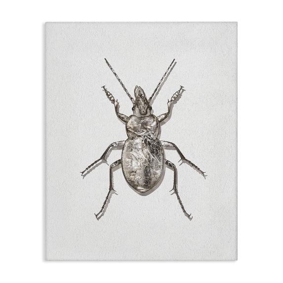 Stupell Industries Contemporary Textured Beetle Minimal Off-White Canvas Art, 16 x 20, by Ziwei Li