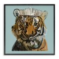 thumbnail image 1 of Stupell Industries Contemporary Tiger in Tiara Portrait Black Framed Giclee Art, 12 x 12, by Amelia Noyes, 1 of 8