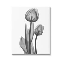 Stupell Industries Contemporary Transparent Tulip Graphic Art Gallery Wrapped Canvas Print Wall Art, Design by Albert Koetsier