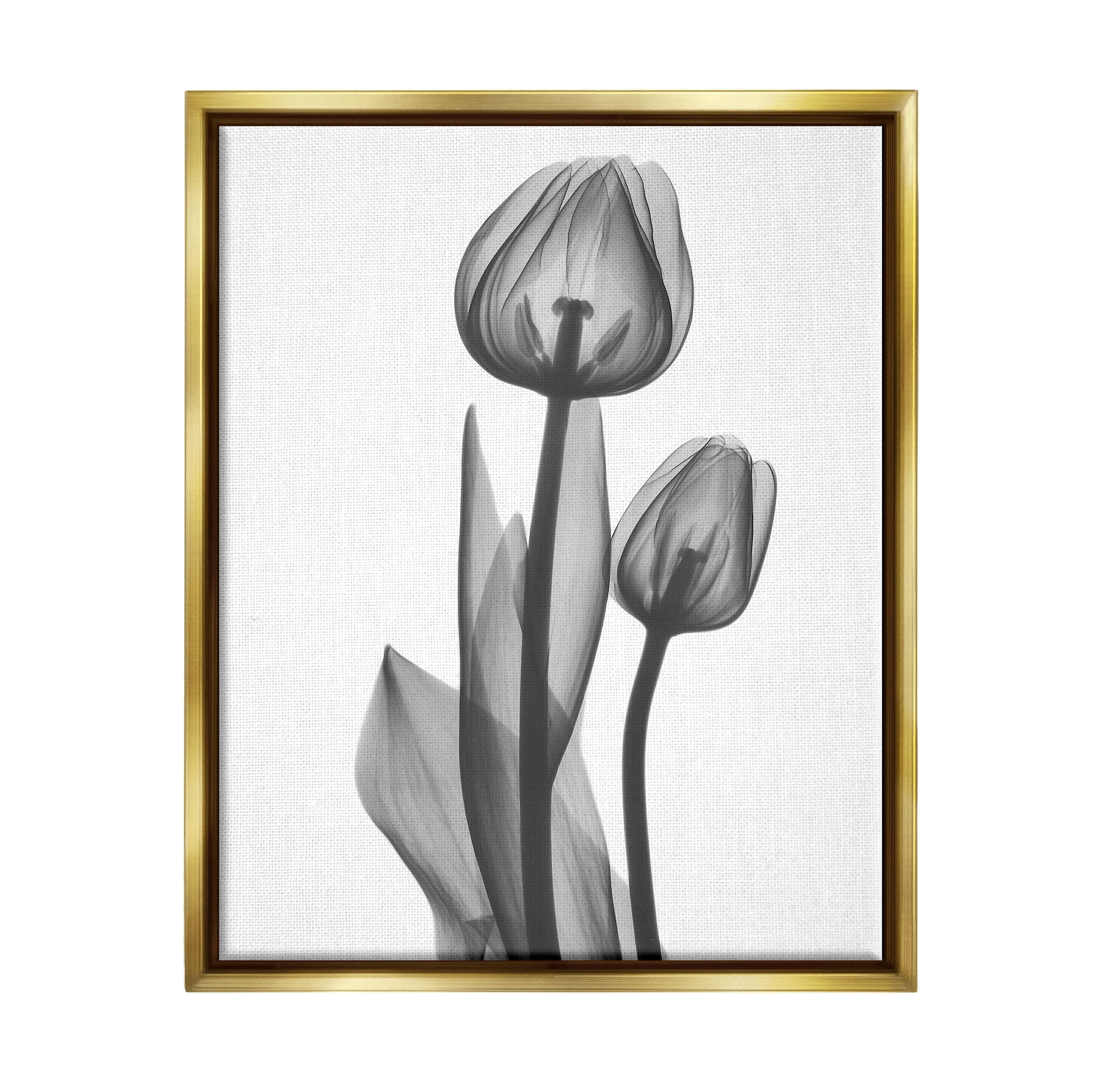 Stupell Industries Contemporary Transparent Tulip Graphic Art Metallic Gold Floating Framed Canvas Print Wall Art, Design by Albert Koetsier