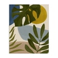 thumbnail image 1 of Stupell Industries Contemporary Tropical Mixed Monstera Leaves Canvas Art, 16 x 20, by Victoria Barnes, 1 of 7