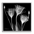 thumbnail image 1 of Stupell Industries Contemporary Tulip X-Ray Botanical & Floral Photography Gray Framed Art Print Wall Art, 17 x 17, 1 of 9