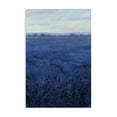 thumbnail image 1 of Stupell Industries Contemporary Vast Blue Fields View Canvas Art, 16 x 24, by Tim O'Toole, 1 of 8