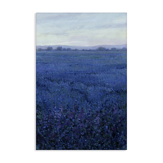 Stupell Industries Contemporary Vast Blue Fields View Canvas Art, 16 x 24, by Tim O'Toole