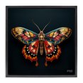 thumbnail image 1 of Stupell Industries Contemporary Vivid Patterned Moth Black Floating Frame Canvas Art, 18 x 18, by RB, 1 of 8