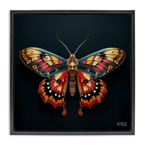 Stupell Industries Contemporary Vivid Patterned Moth Black Floating Frame Canvas Art, 18 x 18, by RB