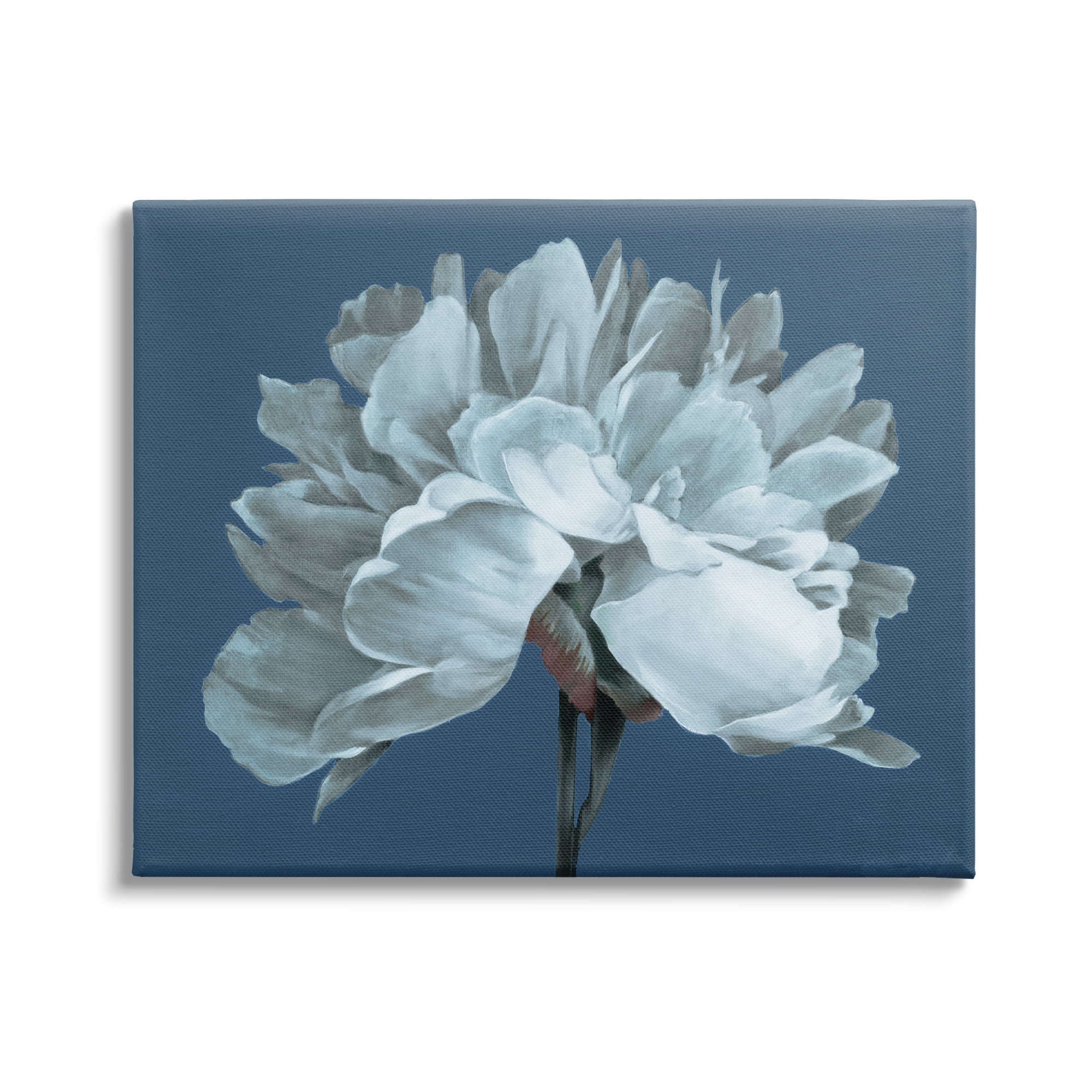 Stupell Industries Contemporary White Bloom Single Flower Sprig Graphic Art Gallery Wrapped Canvas Print Wall Art, Design by Liz Jardine