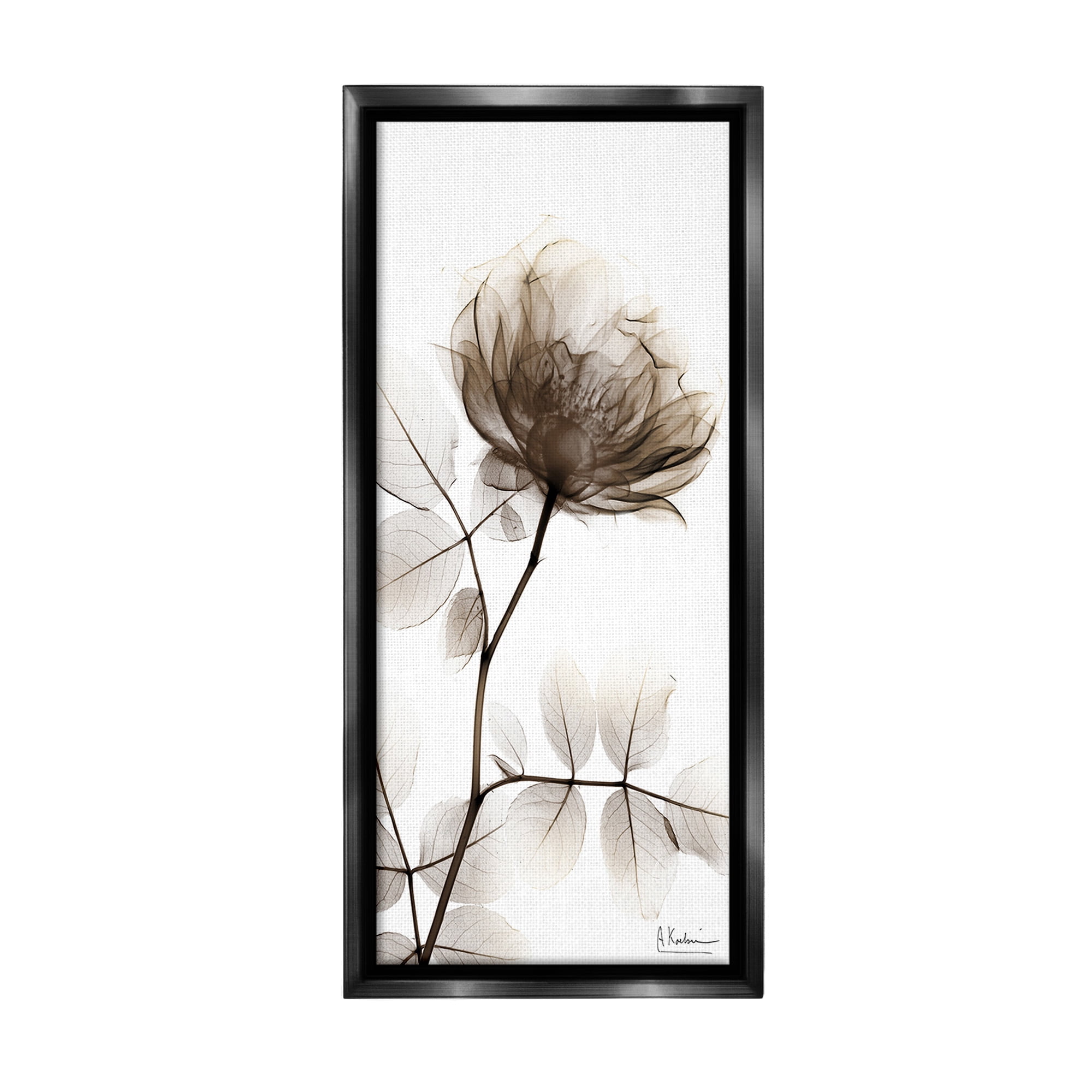 Stupell Industries Contemporary X-Ray Flower Botanical & Floral Photography Black Floater Framed Canvas Art Print Wall Art, 14 x 31
