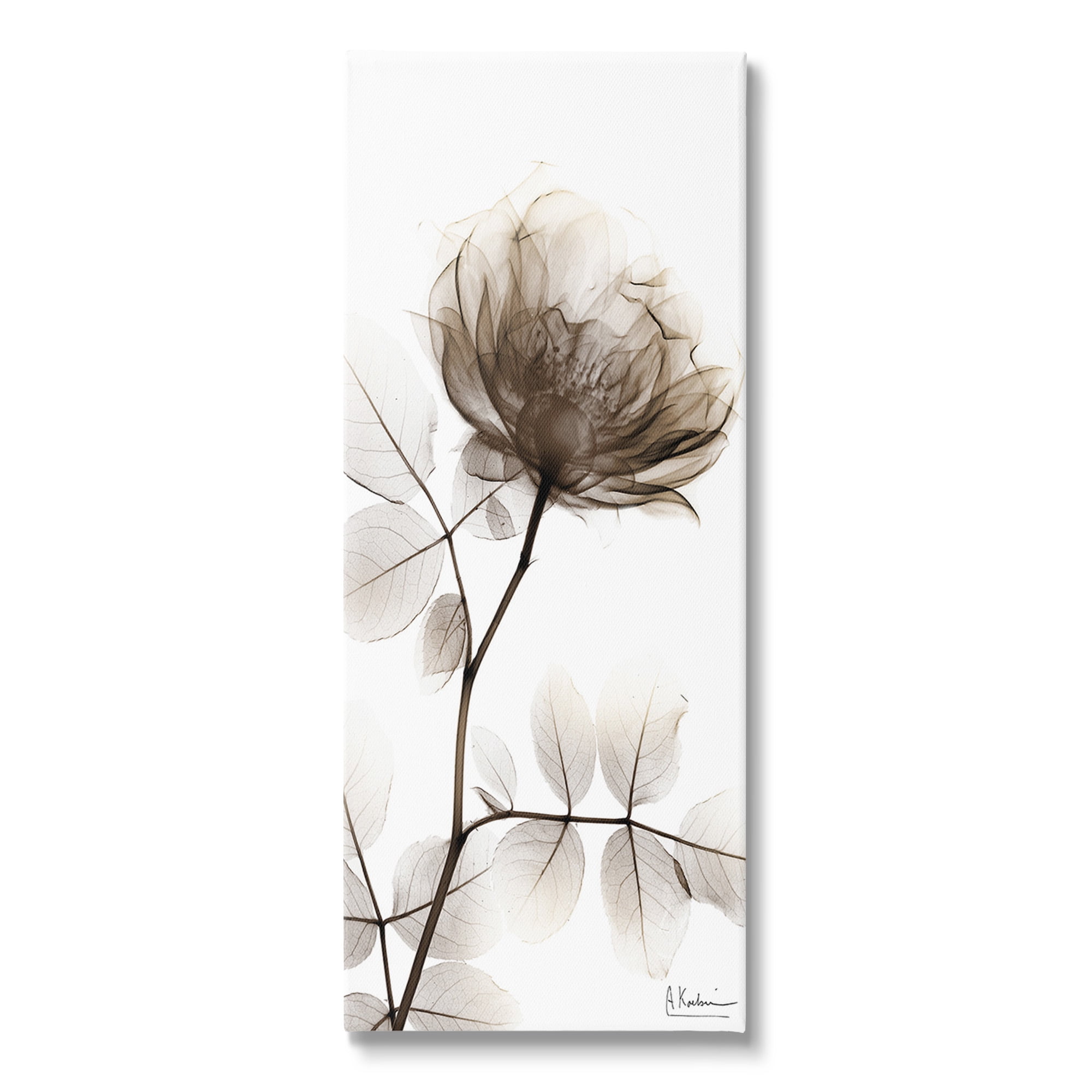 Stupell Industries Contemporary X-Ray Flower Botanical & Floral Photography Gallery Wrapped Canvas Art Print Wall Art, 13 x 30