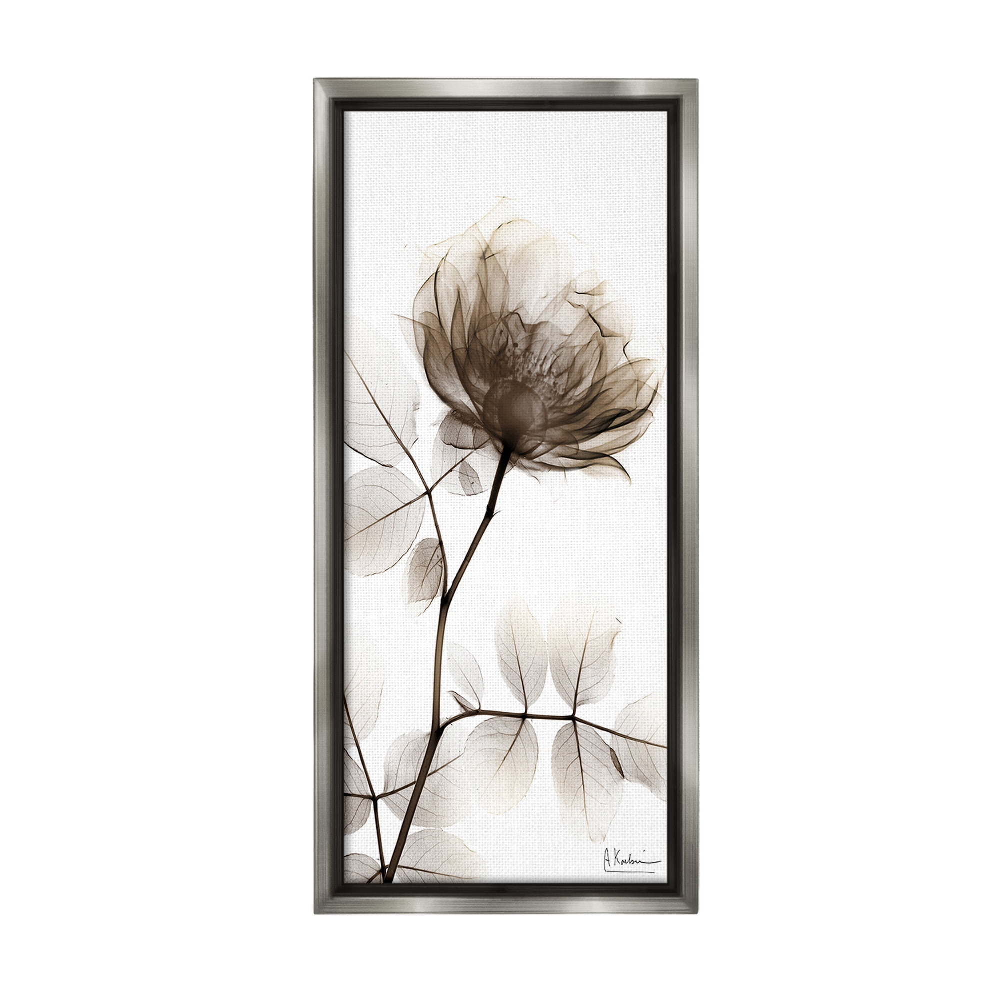 Stupell Industries Contemporary X-Ray Flower Botanical & Floral Photography Gray Floater Framed Canvas Art Print Wall Art, 14 x 31