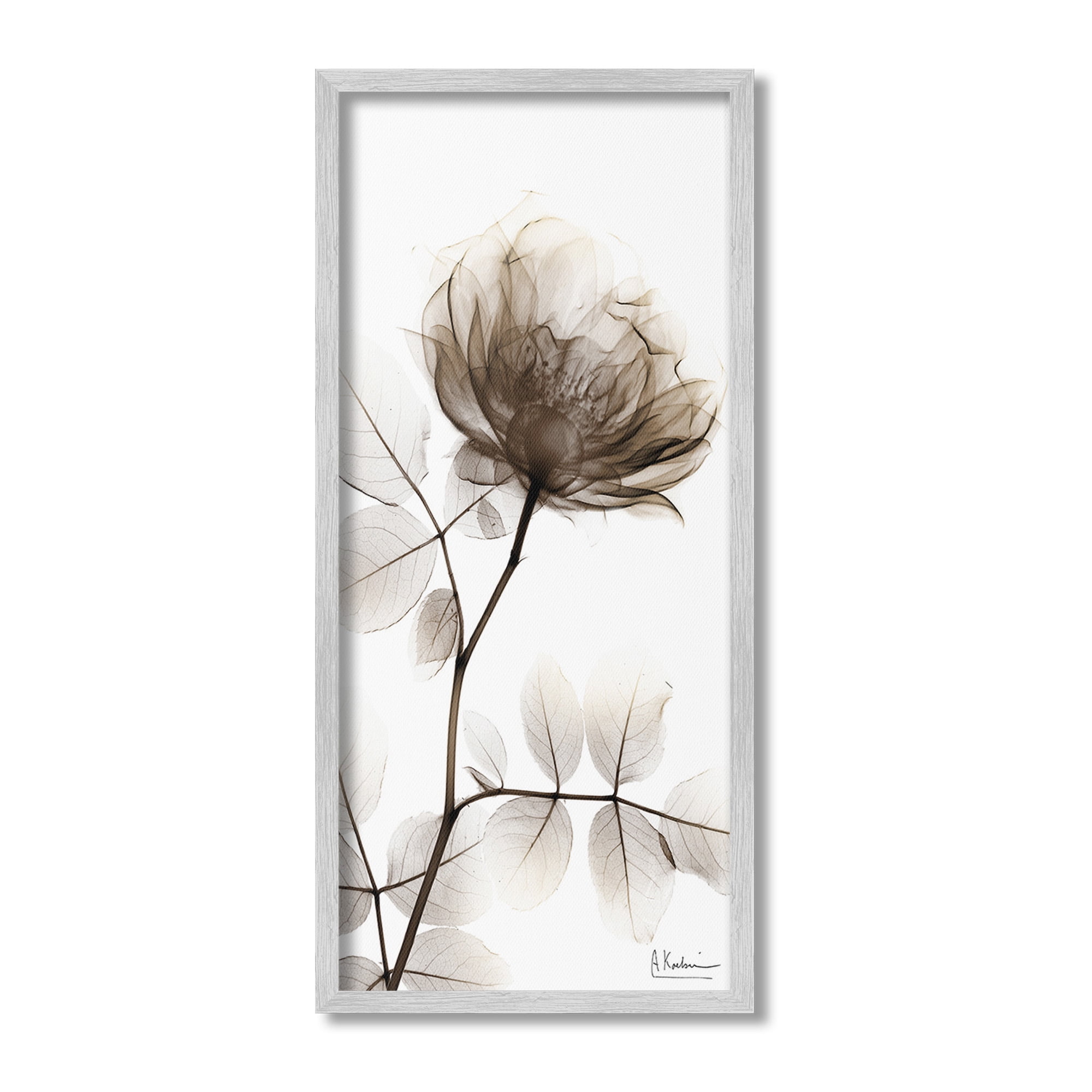Stupell Industries Contemporary X-Ray Flower Botanical & Floral Photography Gray Framed Art Print Wall Art, 10 x 24