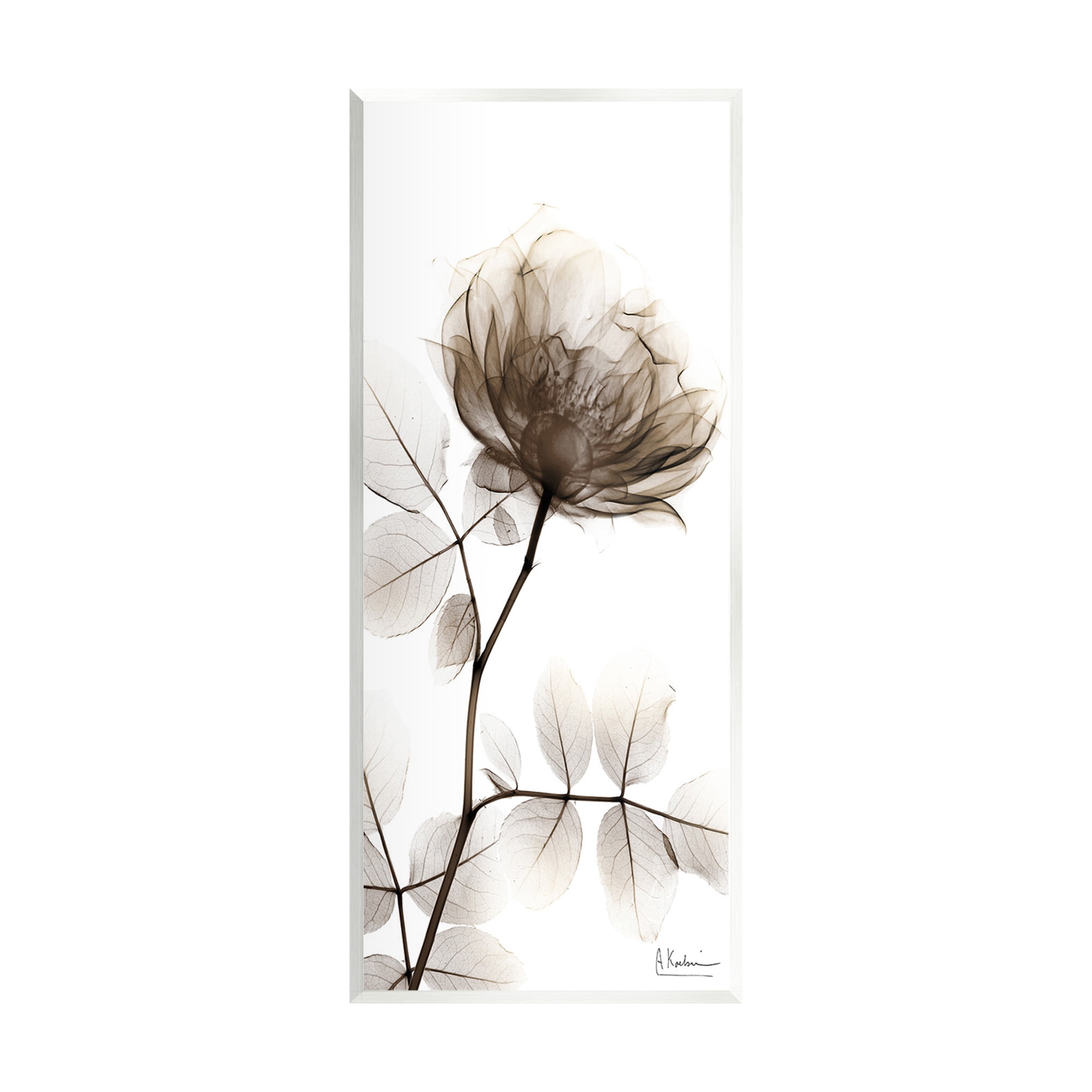 Stupell Industries Contemporary X-Ray Flower Botanical & Floral Photography Unframed Art Print Wall Art, 7 x 17