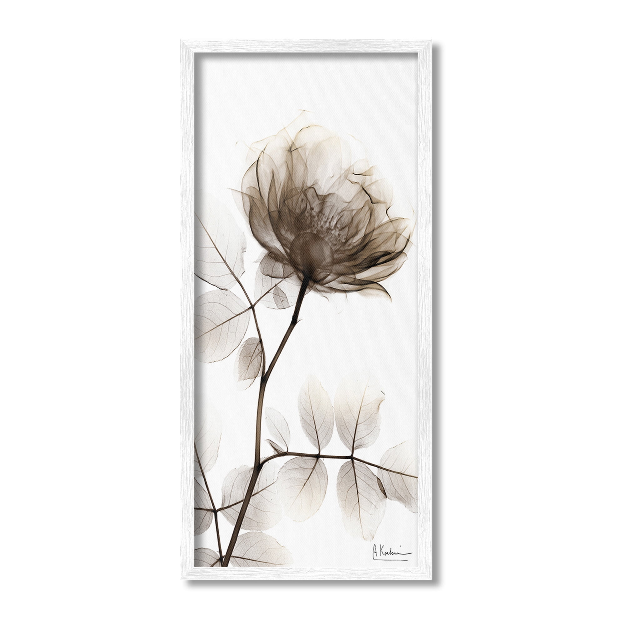 Stupell Industries Contemporary X-Ray Flower Botanical & Floral Photography White Framed Art Print Wall Art, 10 x 24