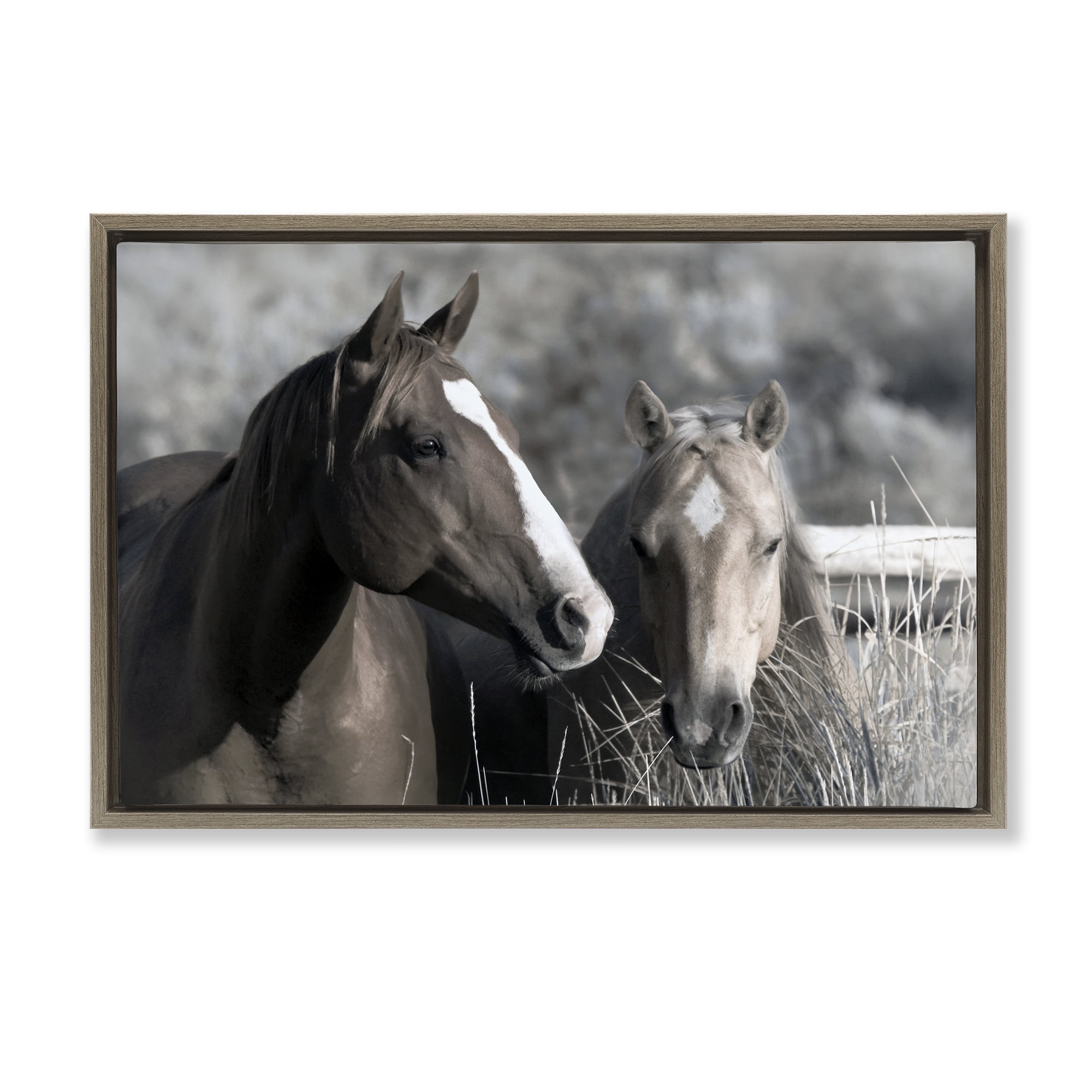Stupell Industries Content Horses In Pasture Brown Framed Floater Canvas Wall Art, design by Danita Delimont