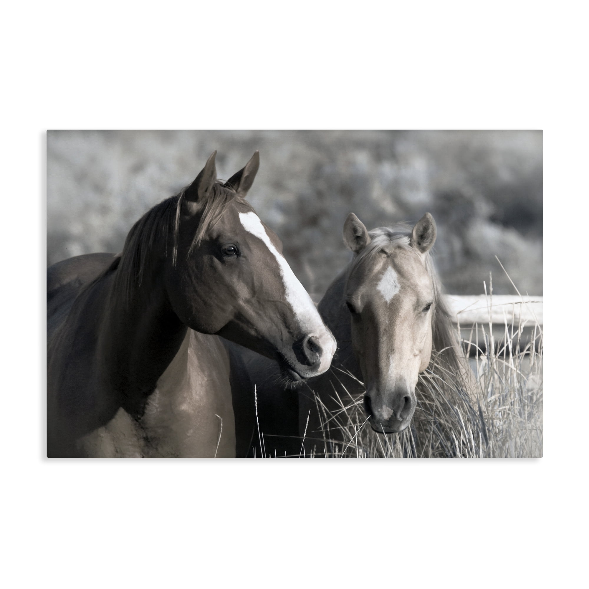 Stupell Industries Content Horses In Pasture Canvas Wall Art, design by Danita Delimont