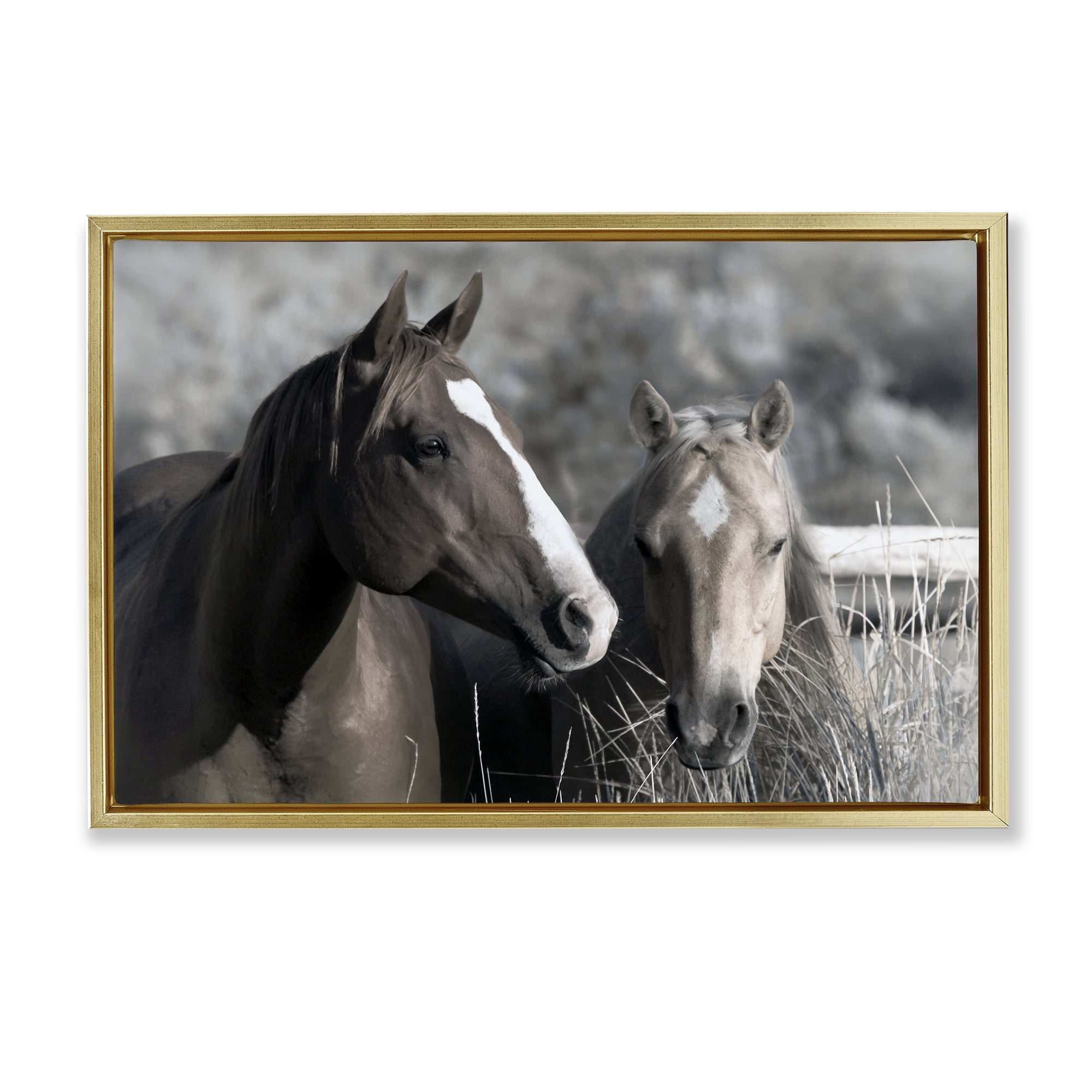 Stupell Industries Content Horses In Pasture Gold Framed Floater Canvas Wall Art, design by Danita Delimont