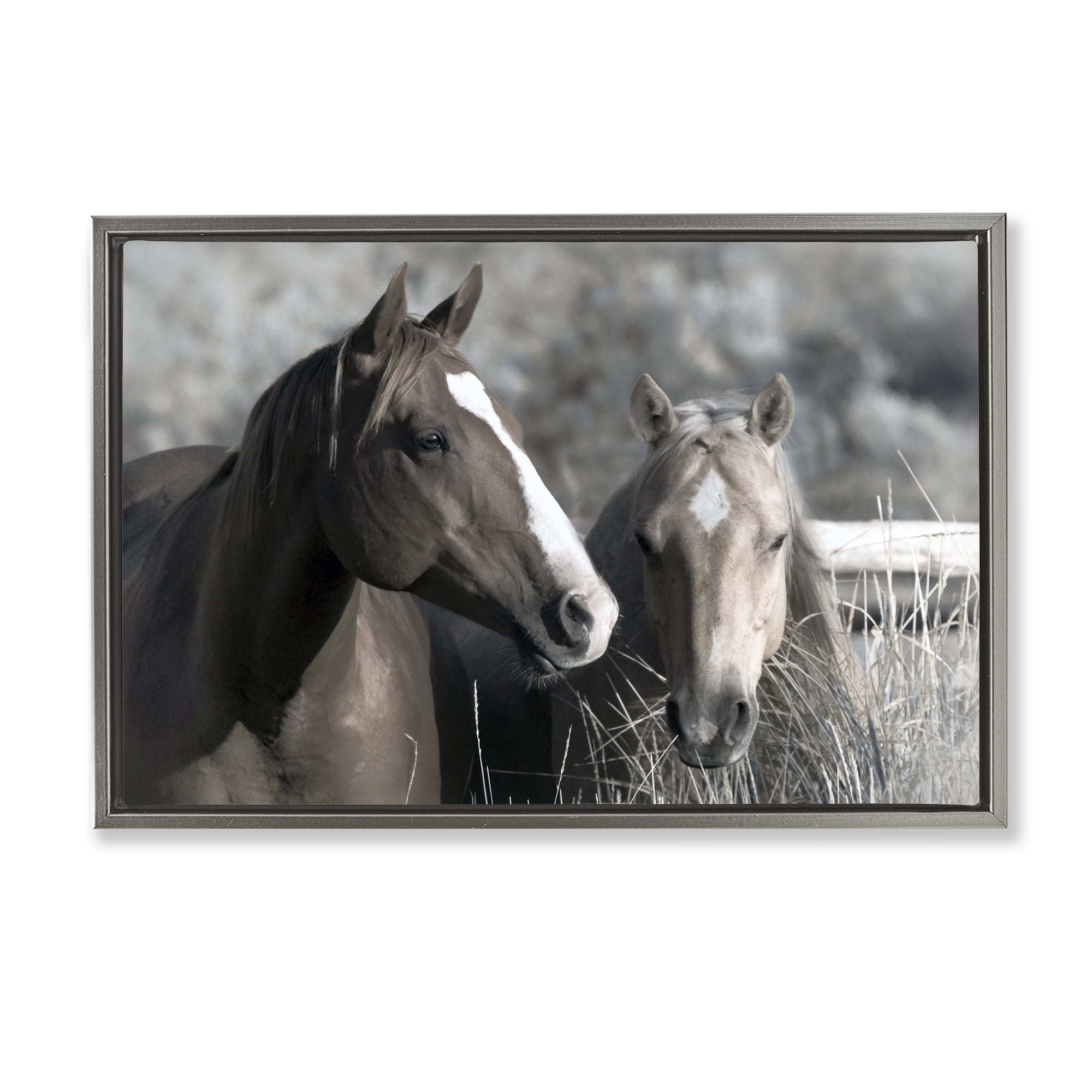 Stupell Industries Content Horses In Pasture Gray Framed Floater Canvas Wall Art, design by Danita Delimont