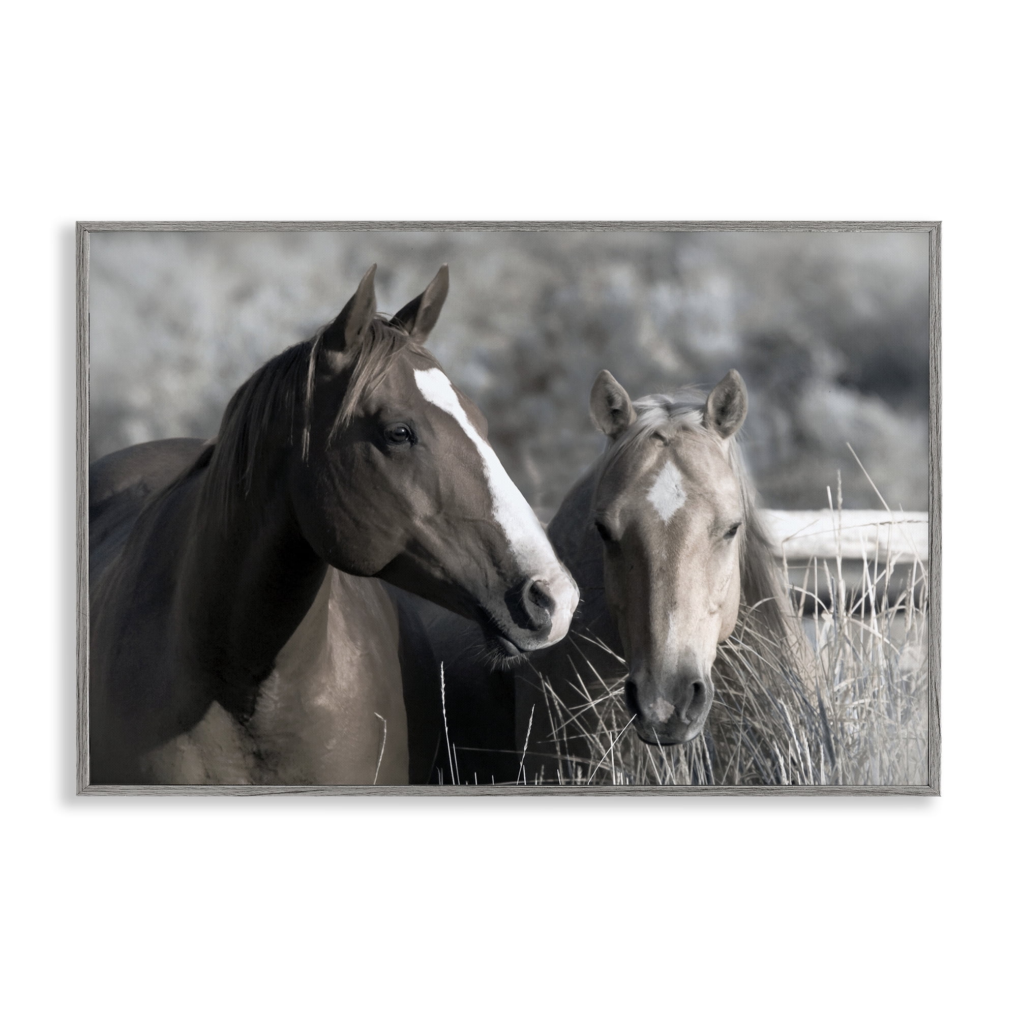 Stupell Industries Content Horses In Pasture Gray Framed Giclee Art, design by Danita Delimont