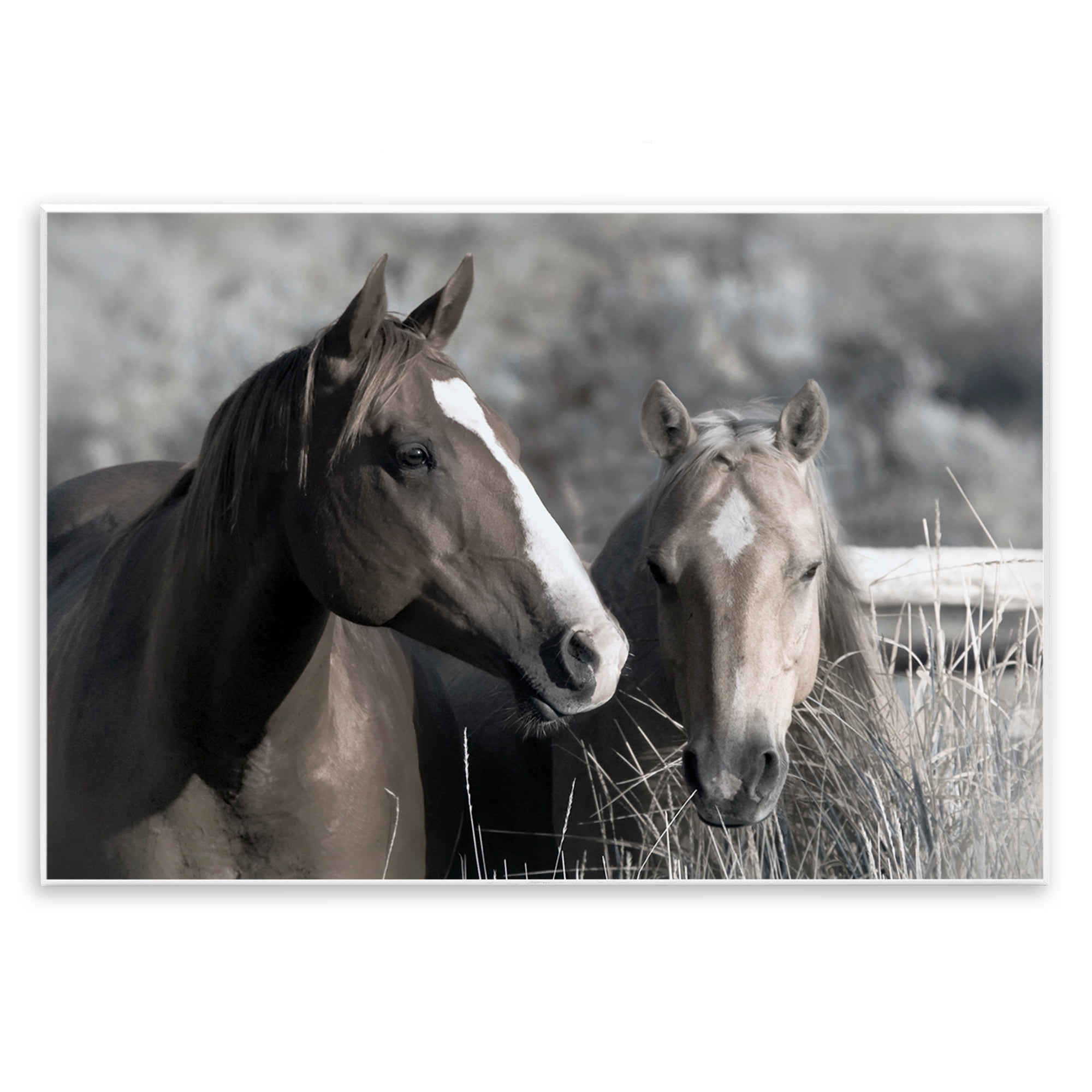 Stupell Industries Content Horses In Pasture Wall Plaque Art, design by Danita Delimont