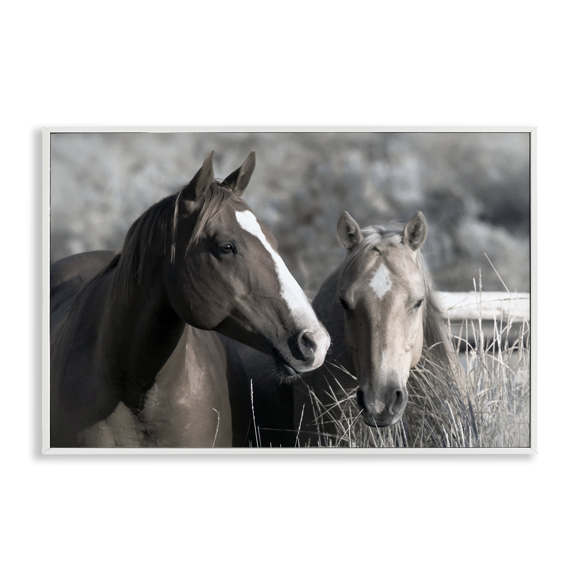 Stupell Industries Content Horses In Pasture White Framed Giclee Art, design by Danita Delimont
