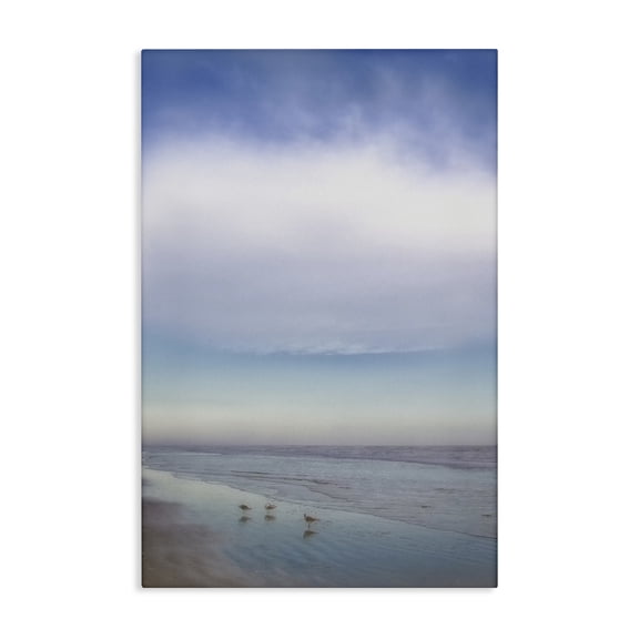 Stupell Industries Contours Of The Deep Canvas Wall Art design by Karin Connolly, 24 x 16