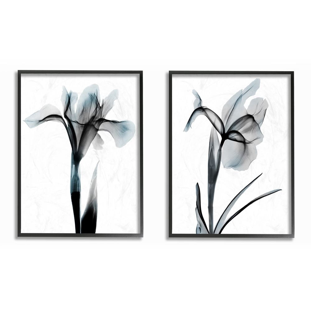 Stupell Industries Contrast Black And Blue Flower Bloom Designs Graphic Art Black Framed Art Print Wall Art Set of 2, 11x14, by Albert Koetsier