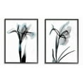 thumbnail image 1 of Stupell Industries Contrast Black And Blue Flower Bloom Designs Graphic Art Black Framed Art Print Wall Art Set of 2, 16x20, by Albert Koetsier, 1 of 5