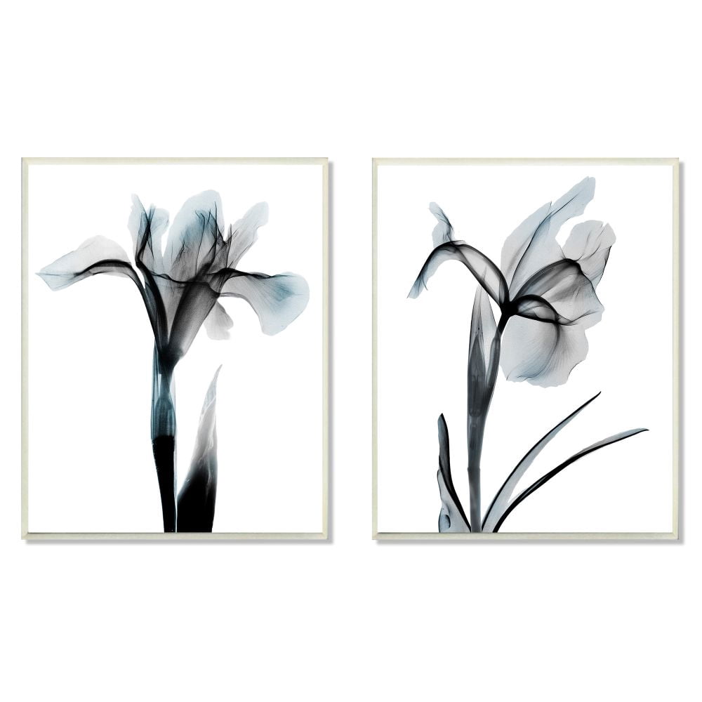 Stupell Industries Contrast Black And Blue Flower Bloom Designs Wall Plaque by Albert Koetsier
