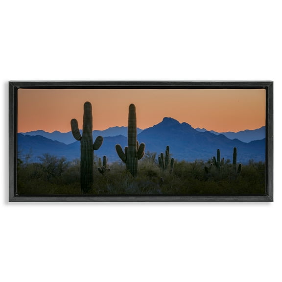Stupell Industries Contrasting Desert Sunset Landscape & Nature Photography Black Floater Framed Canvas Art Print Wall Art, 25 x 11