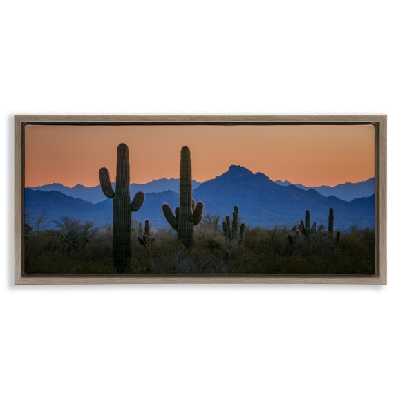 Stupell Industries Contrasting Desert Sunset Landscape & Nature Photography Brown Floater Framed Canvas Art Print Wall Art, 31 x 14