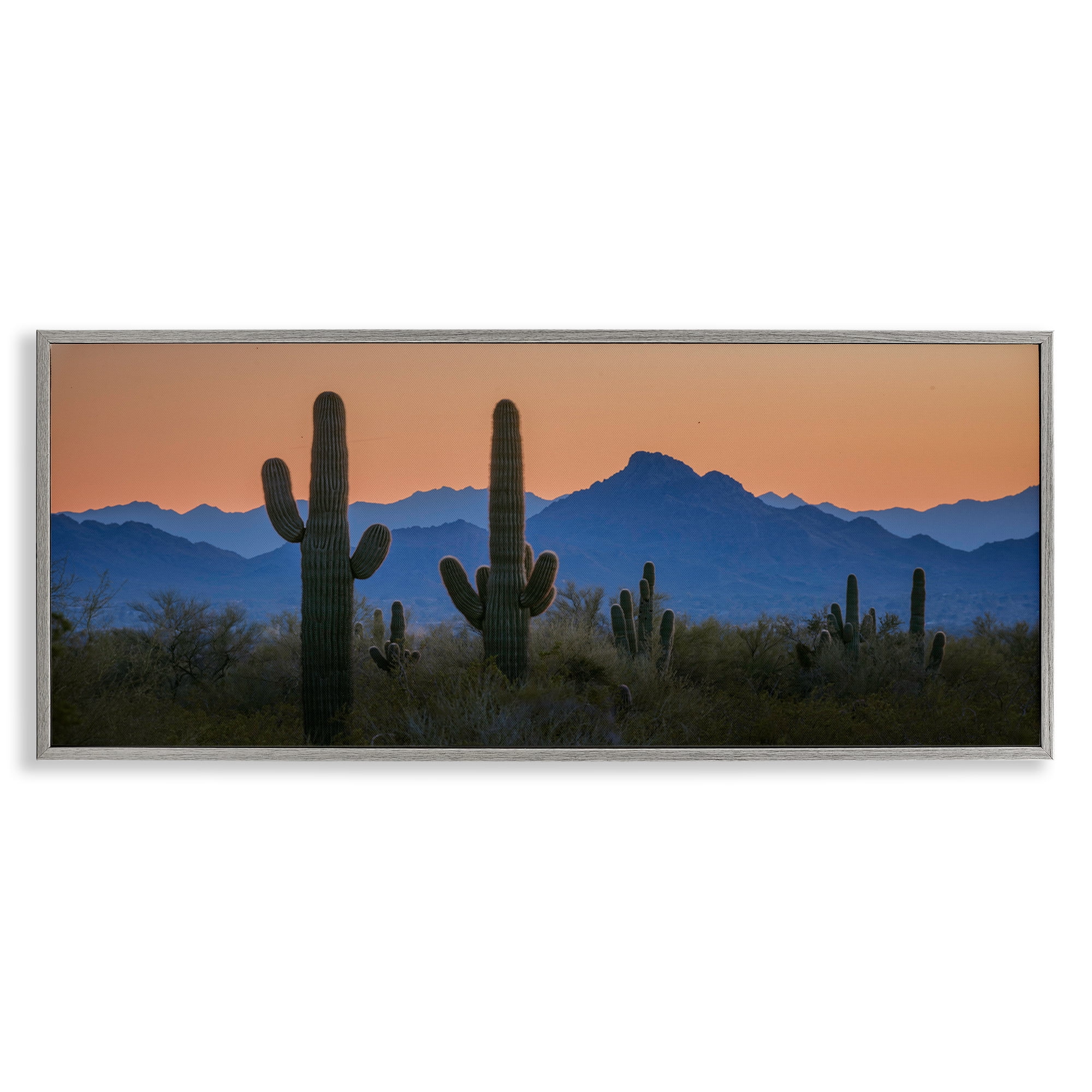 Stupell Industries Contrasting Desert Sunset Landscape & Nature Photography Gray Framed Art Print Wall Art, 30 x 13