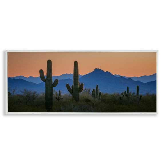 Stupell Industries Contrasting Desert Sunset Landscape & Nature Photography White Framed Art Print Wall Art, 24 x 10