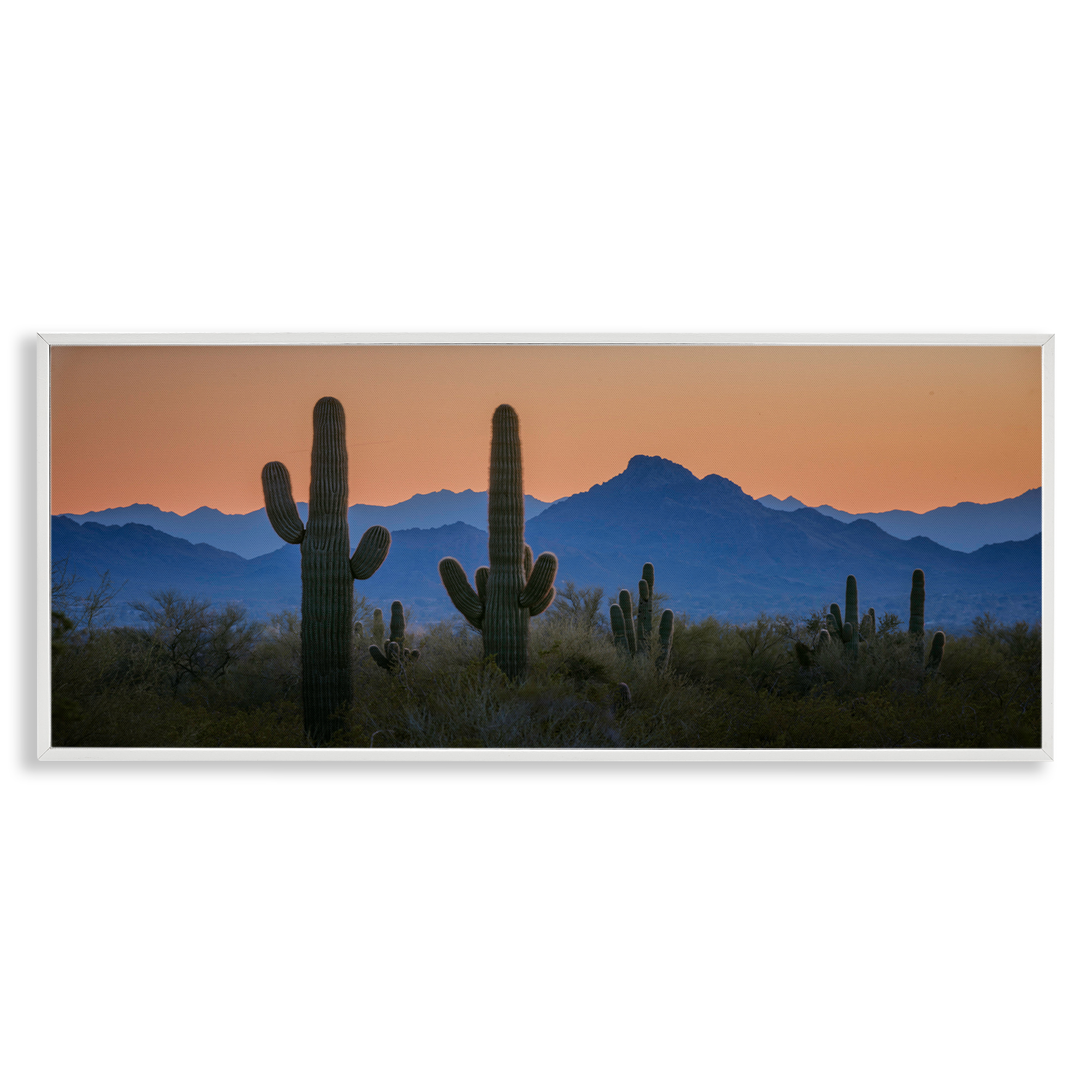 Stupell Industries Contrasting Desert Sunset Landscape & Nature Photography White Framed Art Print Wall Art, 30 x 13