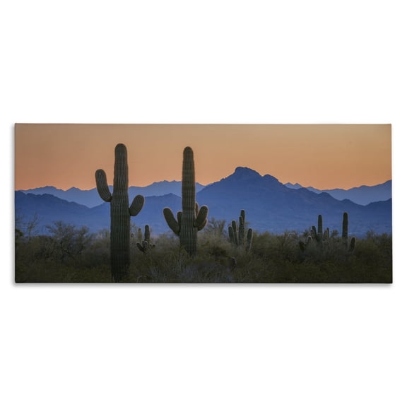 Stupell Industries Contrasting Desert Sunset Landscape & Nature Photography Wrapped Canvas Art Print Wall Art, 40 x 17