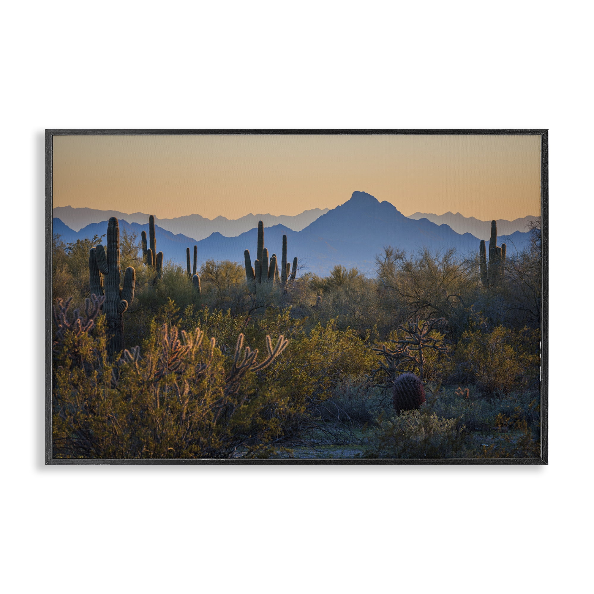 Stupell Industries Contrasting Desertscape Scene Landscape & Nature Photography Black Framed Art Print Wall Art, 30 x 20