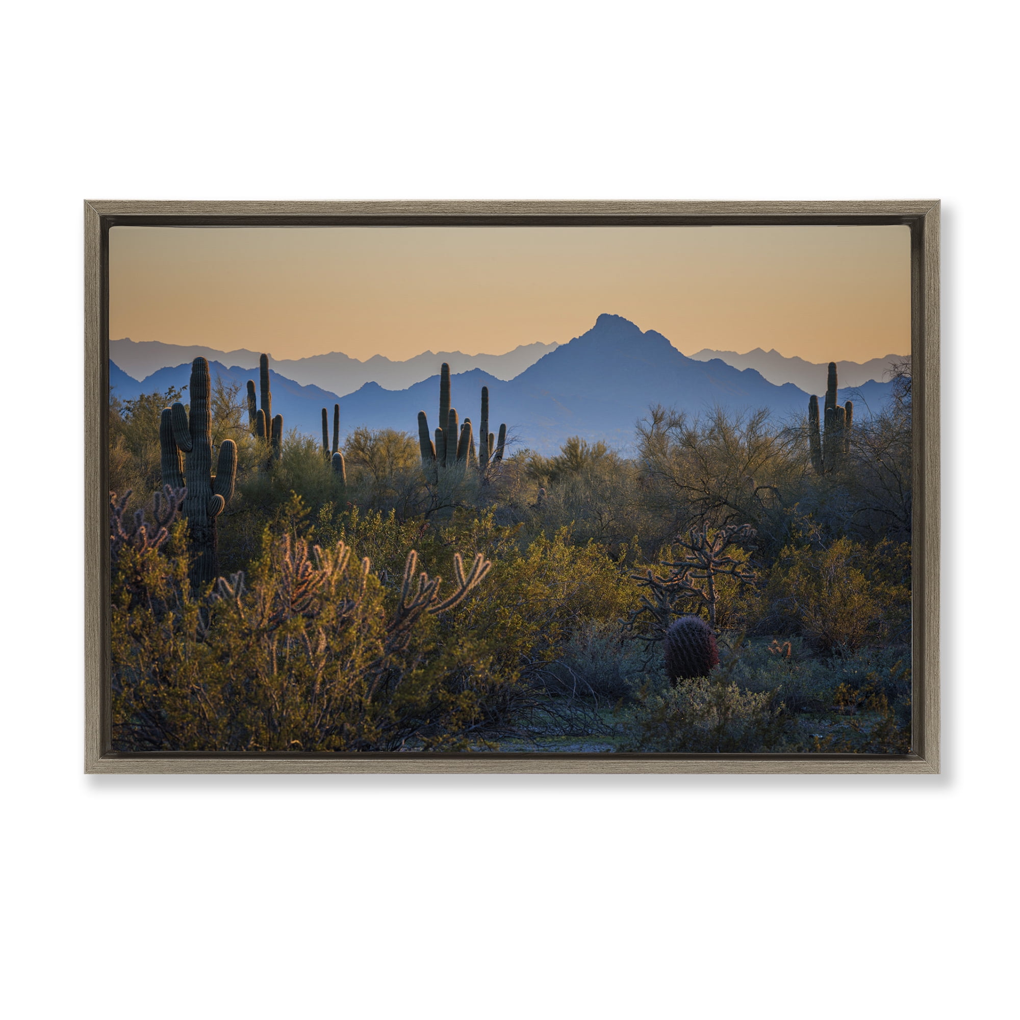 Stupell Industries Contrasting Desertscape Scene Landscape & Nature Photography Brown Floater Framed Canvas Art Print Wall Art, 25 x 17