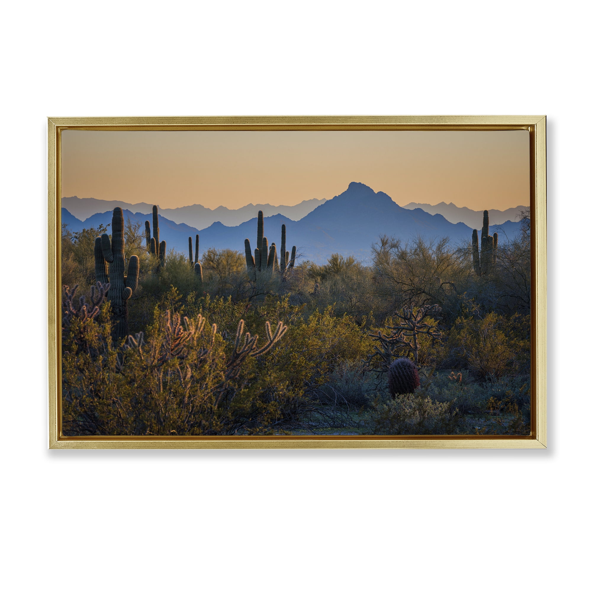 Stupell Industries Contrasting Desertscape Scene Landscape & Nature Photography Gold Floater Framed Canvas Art Print Wall Art, 31 x 21