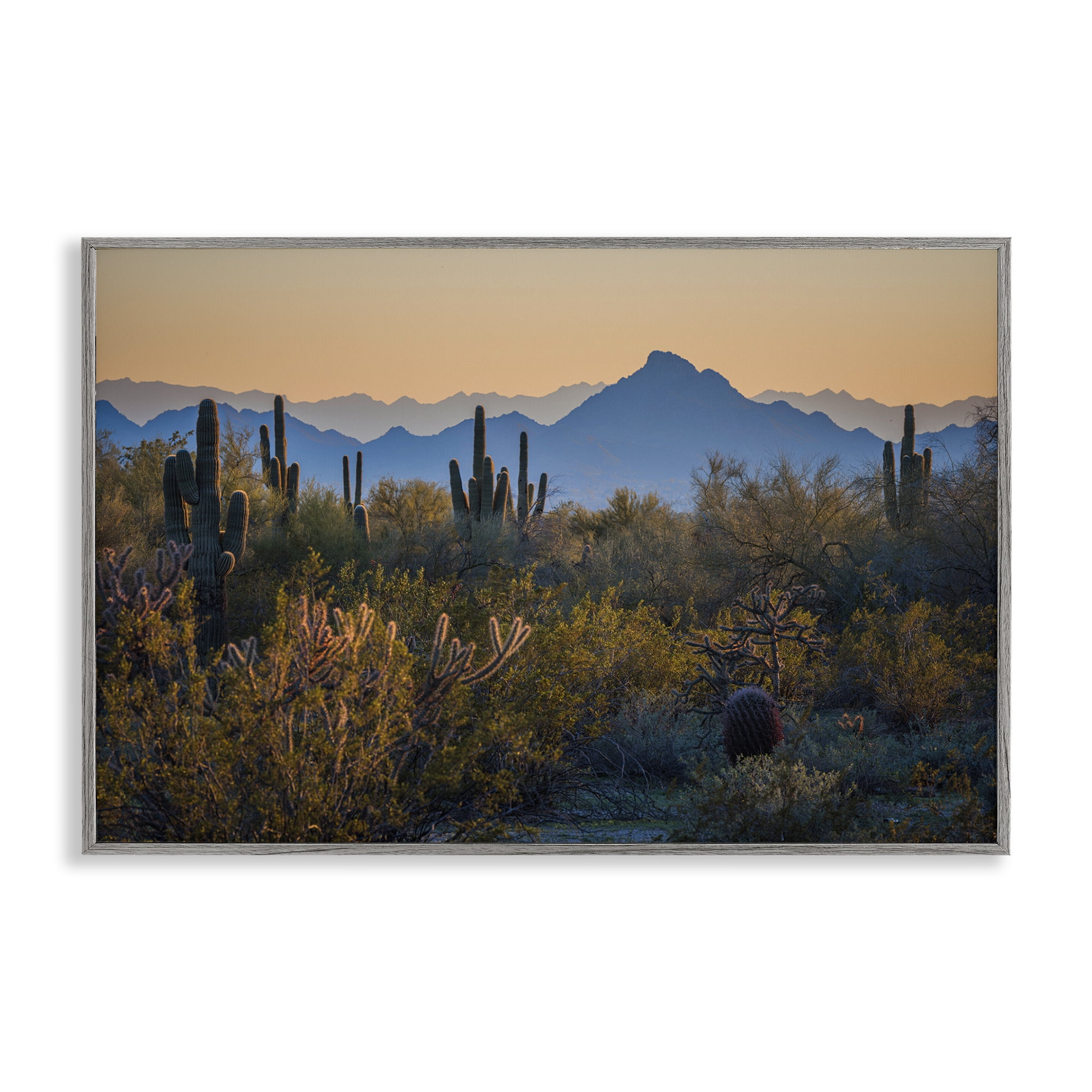 Stupell Industries Contrasting Desertscape Scene Landscape & Nature Photography Gray Framed Art Print Wall Art, 18 x 12