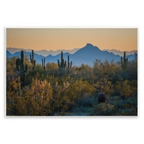 Stupell Industries Contrasting Desertscape Scene Landscape & Nature Photography Unframed Art Print Wall Art, 15 x 10