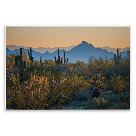 Stupell Industries Contrasting Desertscape Scene Landscape & Nature Photography Unframed Art Print Wall Art, 15 x 10