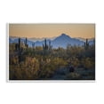thumbnail image 1 of Stupell Industries Contrasting Desertscape Scene Landscape & Nature Photography White Framed Art Print Wall Art, 18 x 12, 1 of 2