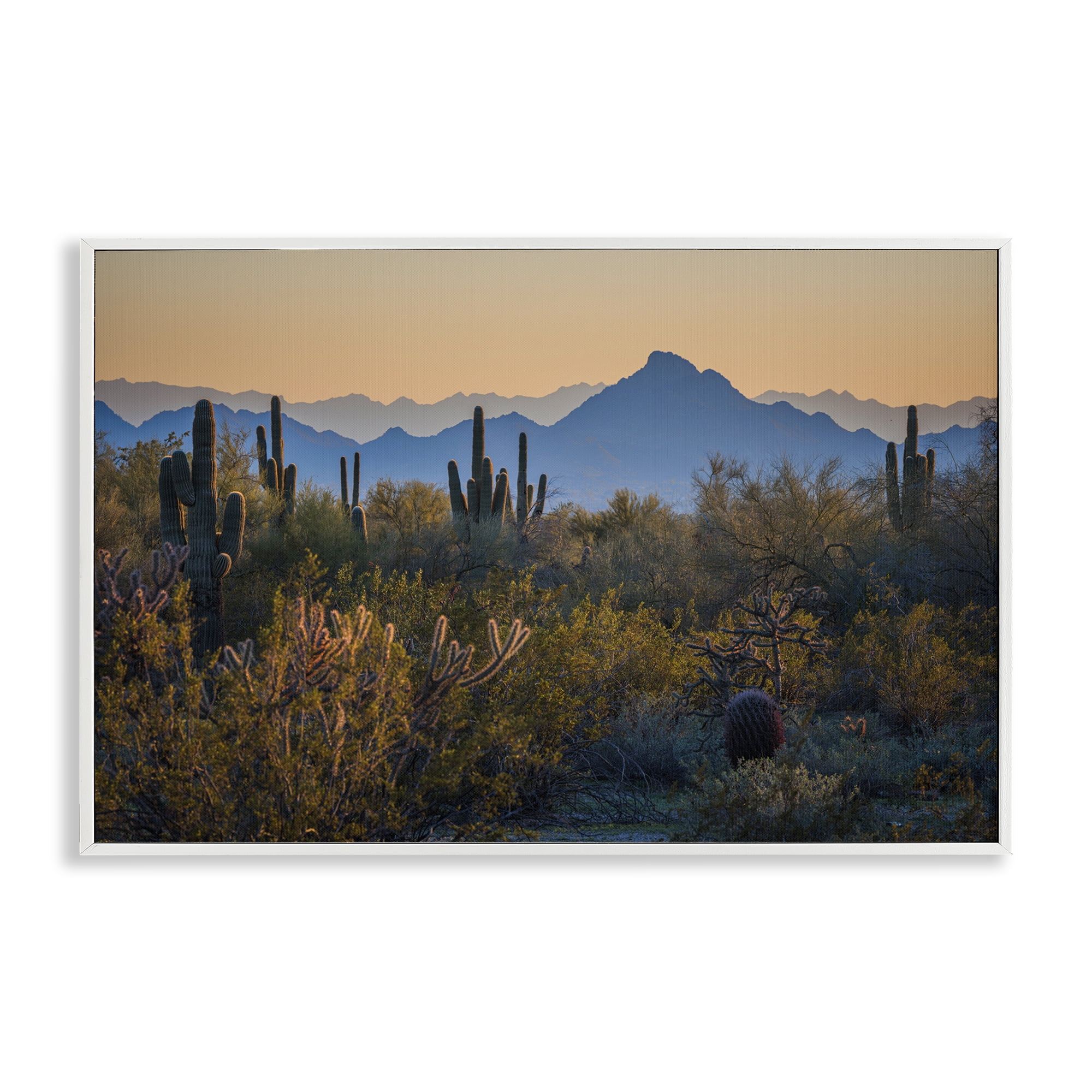 Stupell Industries Contrasting Desertscape Scene Landscape & Nature Photography White Framed Art Print Wall Art, 24 x 16