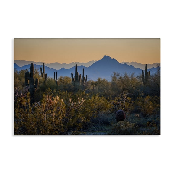 Stupell Industries Contrasting Desertscape Scene Landscape & Nature Photography Wrapped Canvas Art Print Wall Art, 36 x 24