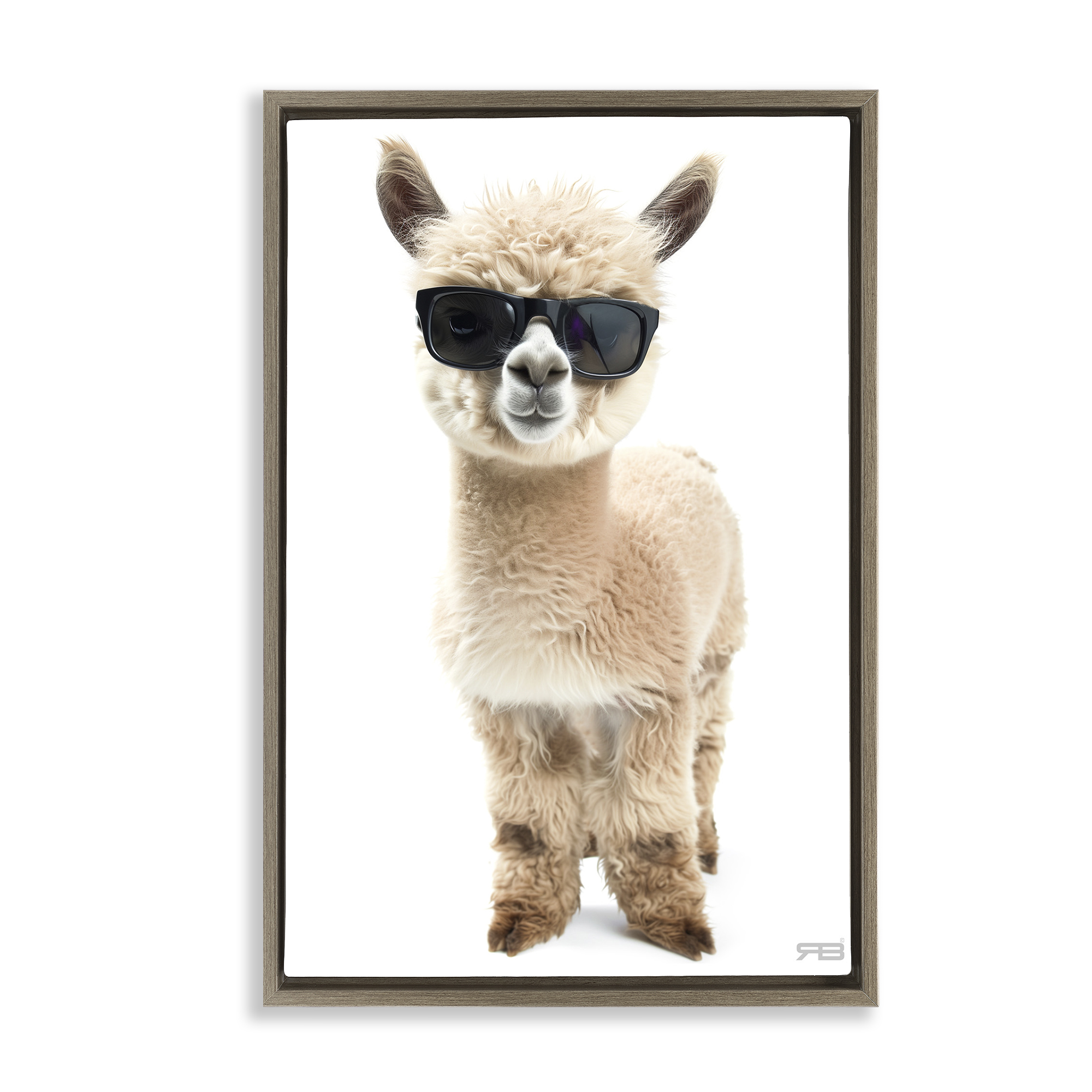 Stupell Industries Cool Alpaca & Glasses Animals & Insects Painting Brown Floater Framed Art Print Wall Art, 17 x 25